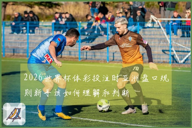 必赢体育资讯图片