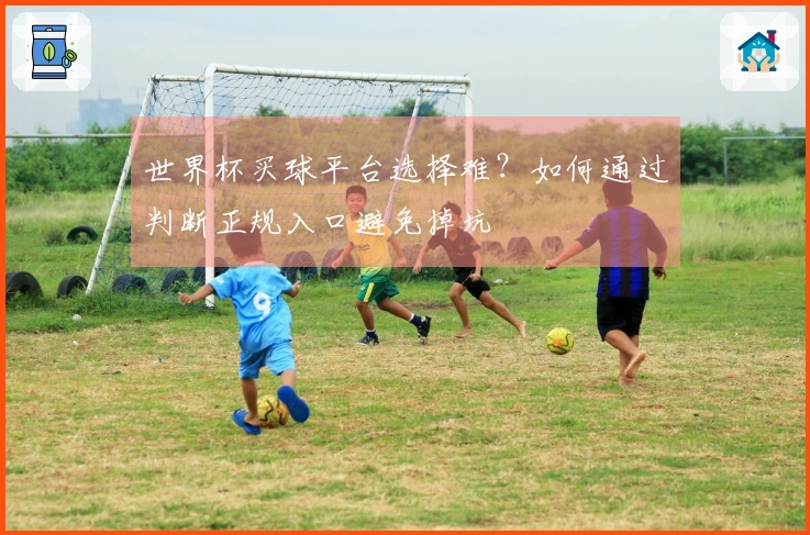 世界杯买球平台选择难？如何通过判断正规入口避免掉坑