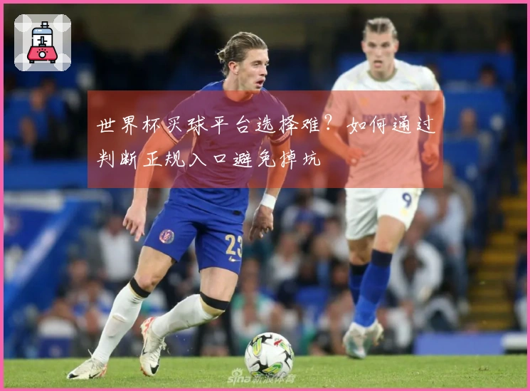 世界杯买球平台选择难？如何通过判断正规入口避免掉坑