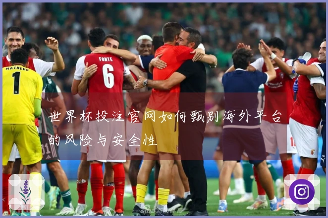 必赢体育资讯图片