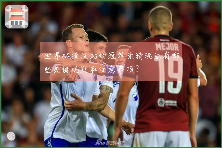 必赢体育资讯图片
