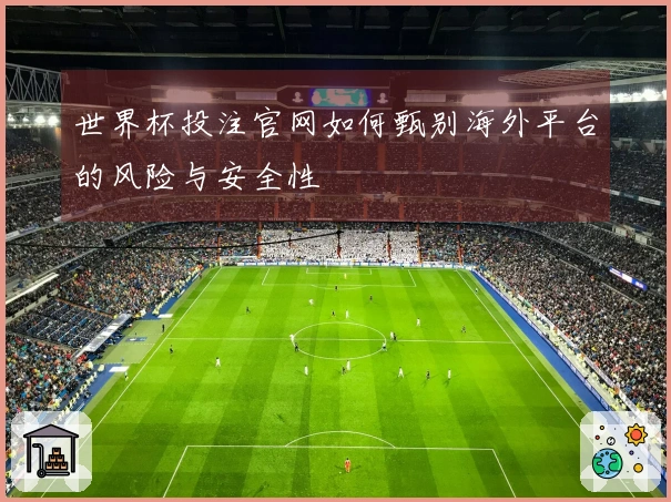 世界杯投注官网如何甄别海外平台的风险与安全性