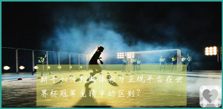 新手如何判断体彩与正规平台在世界杯冠军竞猜中的区别？