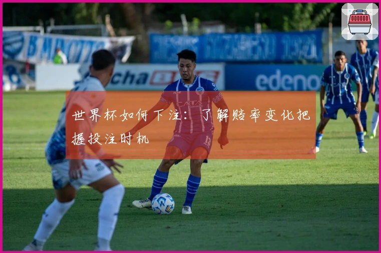 世界杯如何下注：了解赔率变化把握投注时机